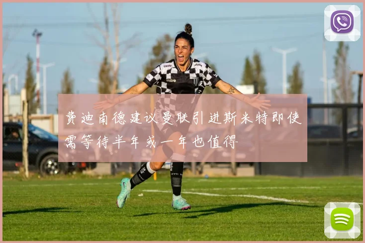 费迪南德建议曼联引进斯米特即使需等待半年或一年也值得
