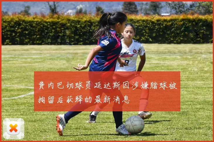 费内巴切球员延达斯因涉嫌赌球被拘留后获释的最新消息